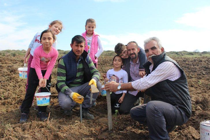 (Özel) Minik fidanlar toprakla buluştu G3