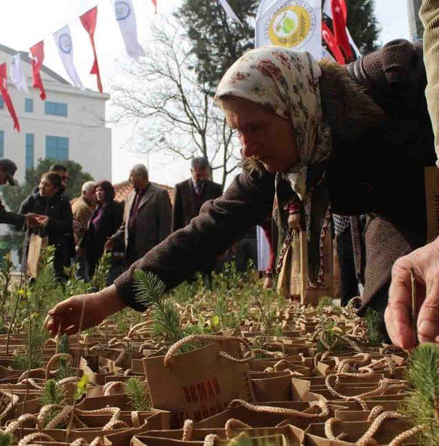 Menteşe’de 5 bin fidan dağıtıldı