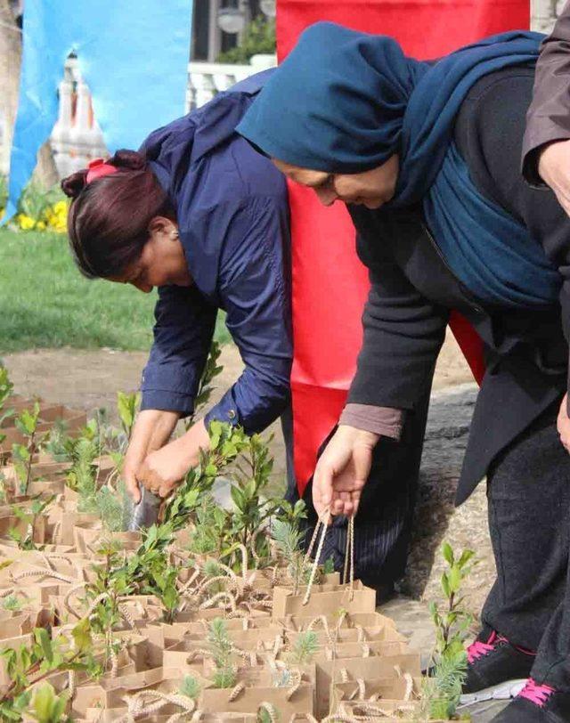 Menteşe’de 5 bin fidan dağıtıldı