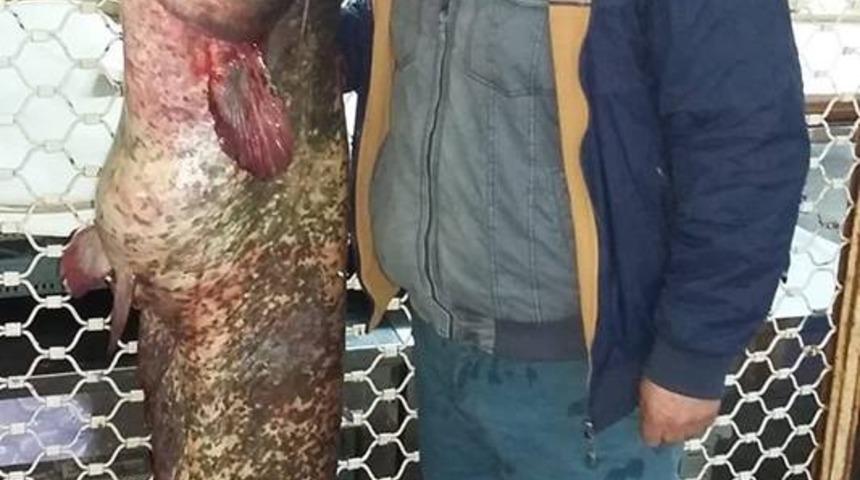 Balık pazarında dev yayın balığı