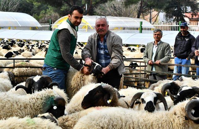 Kocaoğlu: ’Burası İzmir çukuru, gelen boyunun ölçüsünü alır’