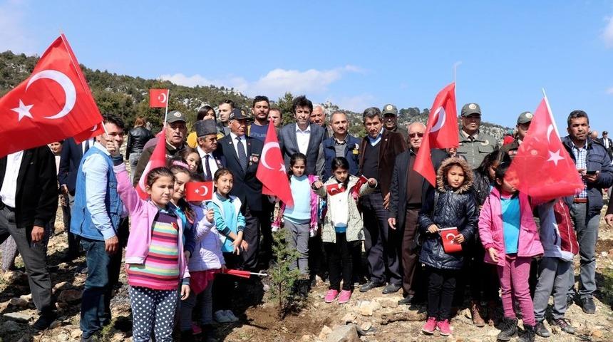 Erdemli Şehit ve Gaziler Ormanı&rsquo;na 500 fidan dikildi