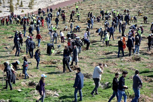 Karaman’da 2 bin fidan toprakla buluşturuldu