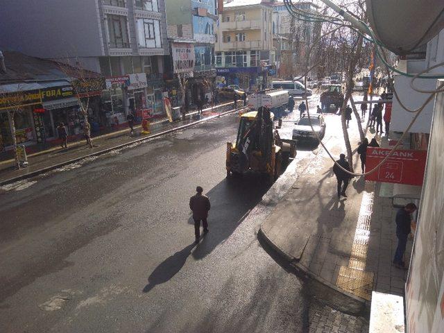 Ardahan’da bahar temizliği