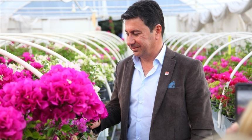 Bodrum&rsquo;a begonvil festivali geliyor