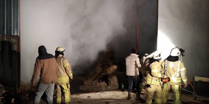 Silivri'de çiftlikte yangın  G3