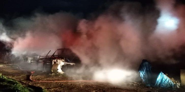 Silivri'de çiftlikte yangın  G5