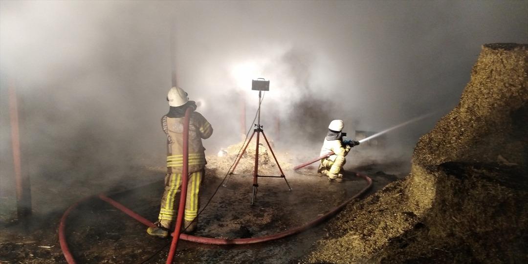 Silivri'de &ccedil;iftlikte yangın 