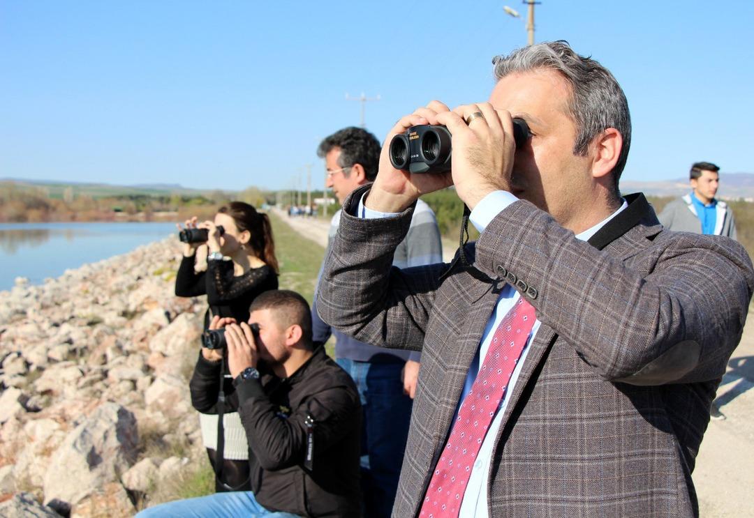 Ak pelikanlar Amasya&rsquo;ya yine erken geldi