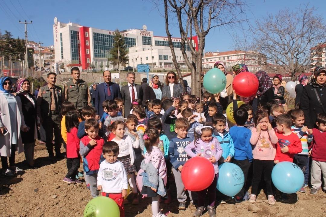Tosya Cumhuriyet Anaokulunda Fidan Dikme Etkinliği