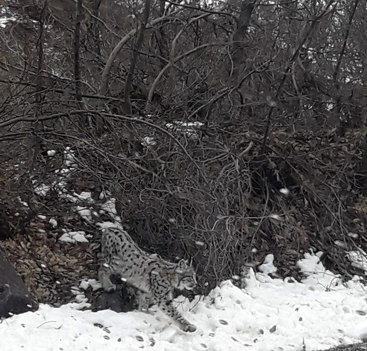  Kırmızı listede yer alıyor! Bu kez karayoluna indi G2