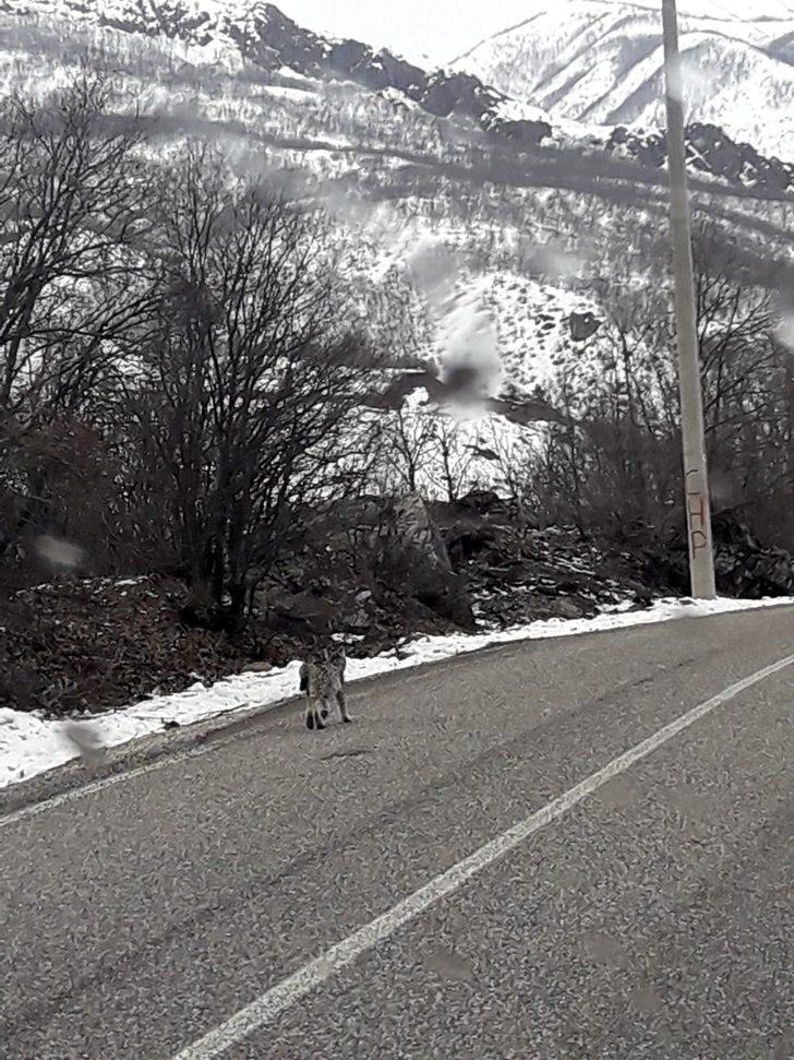  Kırmızı listede yer alıyor! Bu kez karayoluna indi G3