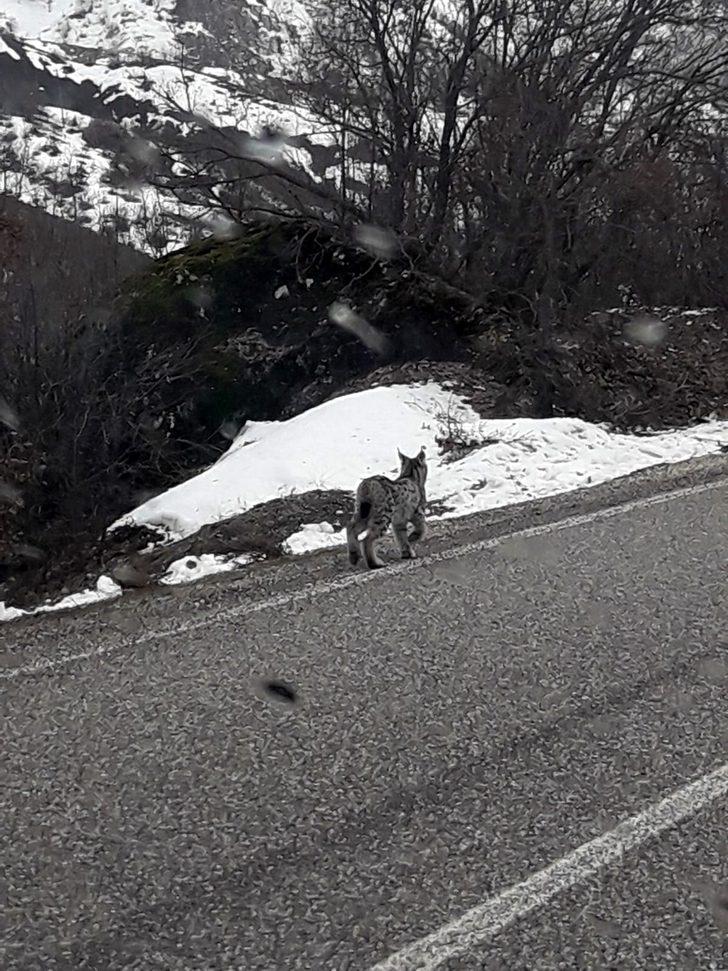  Kırmızı listede yer alıyor! Bu kez karayoluna indi G4