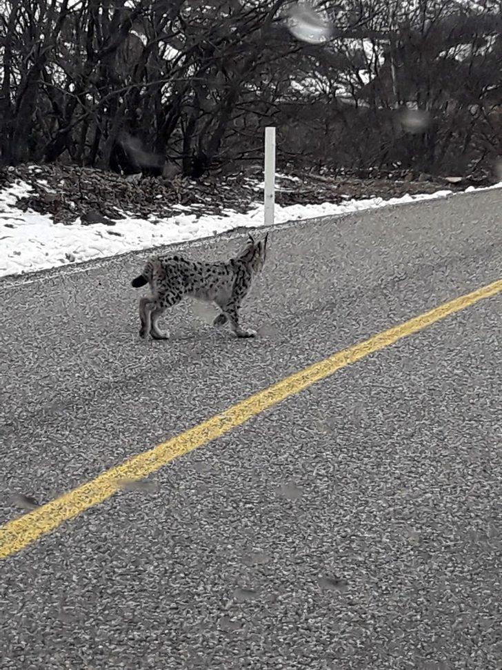  Kırmızı listede yer alıyor! Bu kez karayoluna indi G5