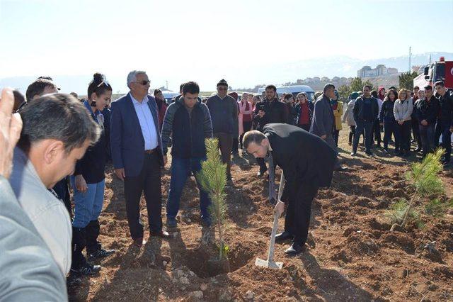 Dünya Ormancılık Günü’nde fidan dikim etkinliği