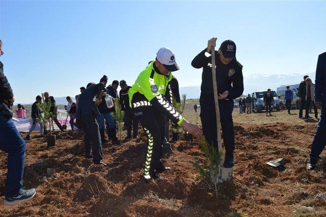 Dünya Ormancılık Günü’nde fidan dikim etkinliği