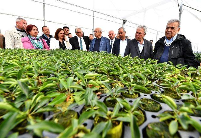 Kocaoğlu’ndan Zeybekci’ye yanıt