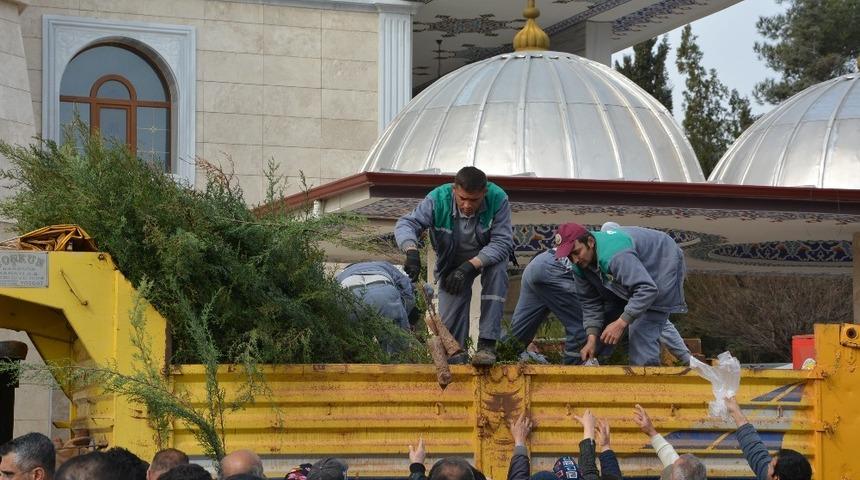 Korkuteli’nde vatandaşlara ücretsiz 10 bin adet  fidan dağıtıldı