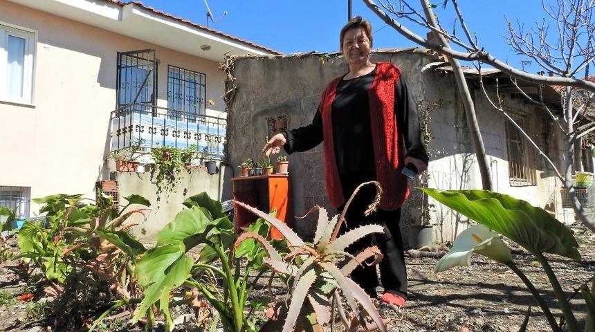 Kanser tedavisi gören kadın, çöp yuvasını bahçeye çevirdi