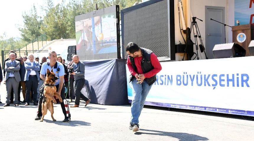 Kocamaz, Kaşlı Geçici Hayvan Bakımevi’nin açılışını yaptı