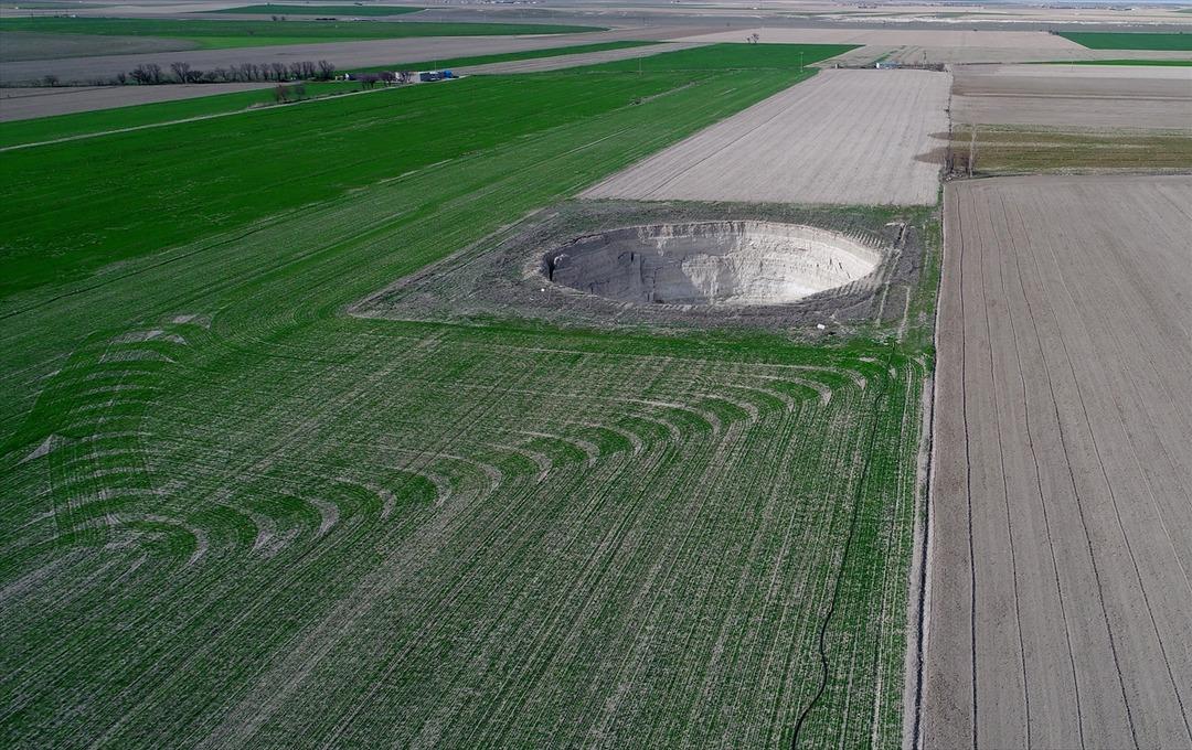 Sayılar giderek artıyor! Uzmanlar uyarıyor: Acil kontrol altına alınmalı