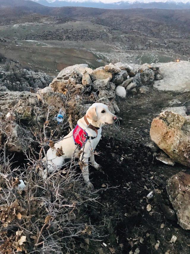 Eruh'ta tenekede TNT ile yapılmış EYP bulundu