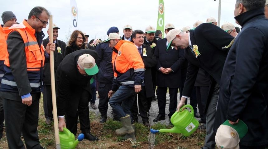 Adalet Ormanı&rsquo;nda meyve fidanları toprakla buluşturuldu
