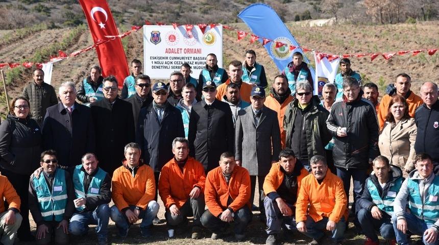 Yükümlü ve hükümlüler 3 bin karaçam fidanı dikti