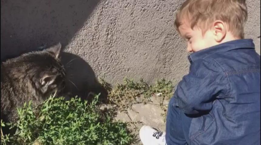 Minik Efe’nin kedi ile diyaloğu sosyal medyada ilgi çekti