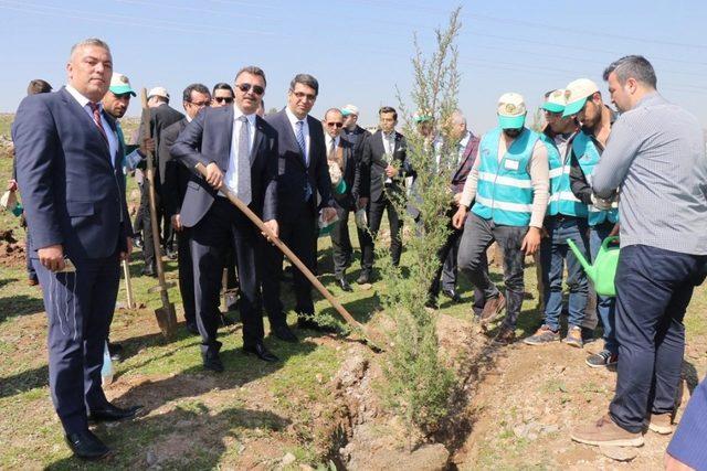 Adalet ormanında fidanlar toprakla buluştu