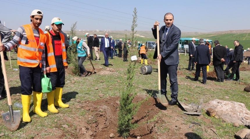 Adalet ormanında fidanlar toprakla buluştu