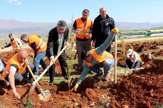 Hükümlüler fidanları toprakla buluşturdu