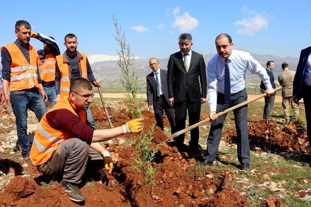 Hükümlüler fidanları toprakla buluşturdu