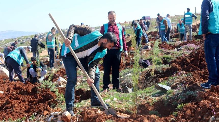 H&uuml;k&uuml;ml&uuml;ler fidanları toprakla buluşturdu