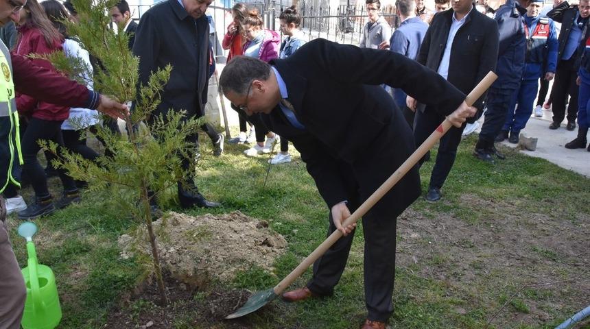 Sinop’ta fidan dikimi