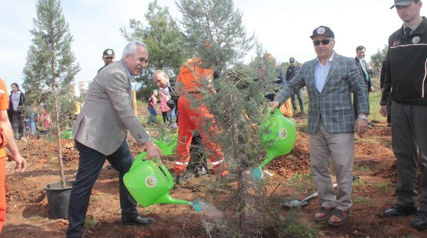 Manavgat’ta Orman Haftasında Sarılar Mahallesinde ağaç dikildi