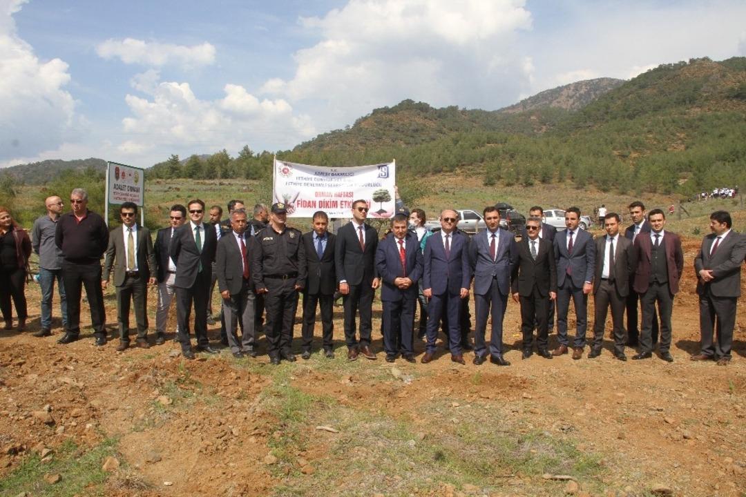 Fethiye&rsquo;ye &rsquo;Adalet Ormanı&rsquo; i&ccedil;in bin 600 fidan dikildi