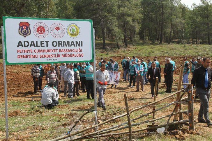 Fethiye’ye ’Adalet Ormanı’ için bin 600 fidan dikildi G2