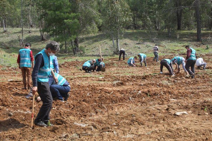 Fethiye’ye ’Adalet Ormanı’ için bin 600 fidan dikildi G3