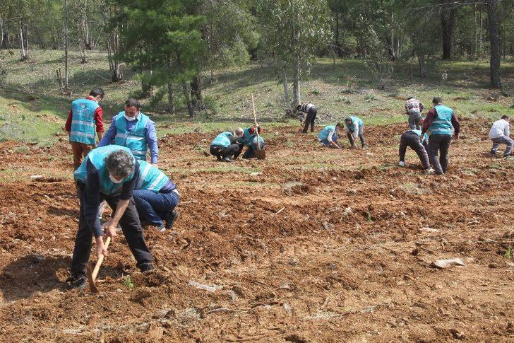 Fethiye’ye ’Adalet Ormanı’ için bin 600 fidan dikildi G4