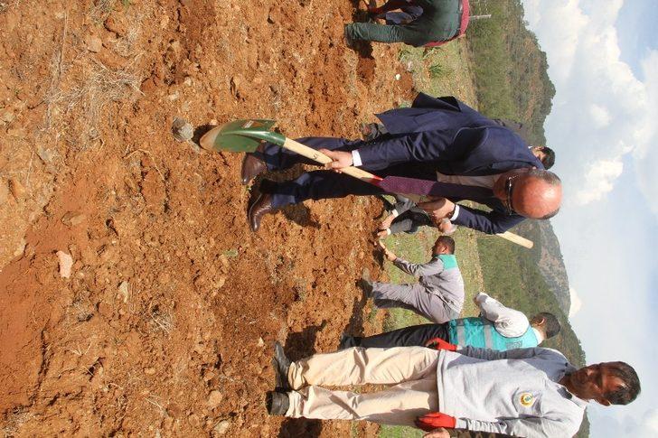 Fethiye’ye ’Adalet Ormanı’ için bin 600 fidan dikildi G5