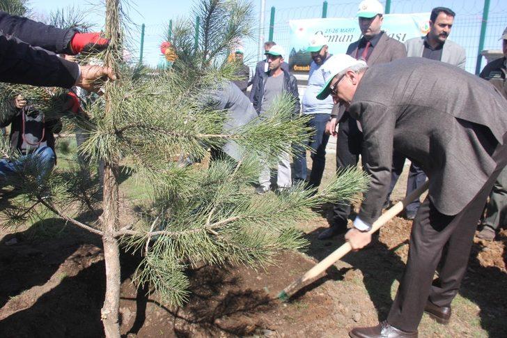 Bingöl’de Adalet Ormanı oluşturuldu G1