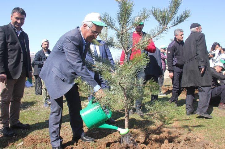 Bingöl’de Adalet Ormanı oluşturuldu G2
