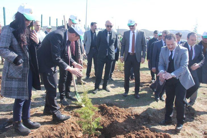 Bingöl’de Adalet Ormanı oluşturuldu G3