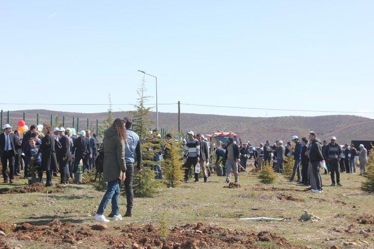 Bingöl’de Adalet Ormanı oluşturuldu G4