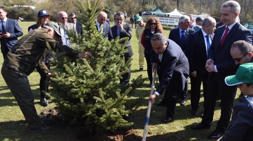 Hükümlülerle birlikte ağaç diktiler