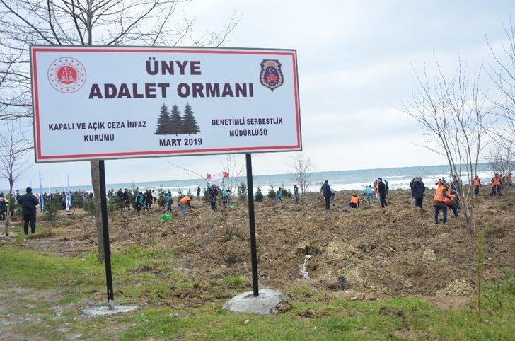 Adalet çalışanlarından "Adalet Ormanı" G1
