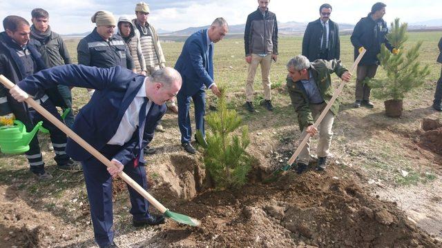 Başkan Özgökçe’den ‘Dünya Ormancılık Günü ve Orman Haftası’ mesajı