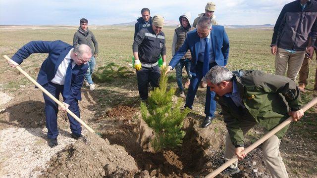 Başkan Özgökçe’den ‘Dünya Ormancılık Günü ve Orman Haftası’ mesajı