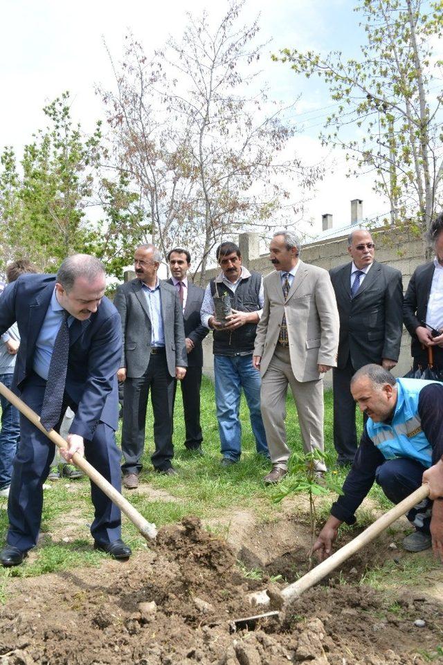 Başkan Özgökçe’den ‘Dünya Ormancılık Günü ve Orman Haftası’ mesajı